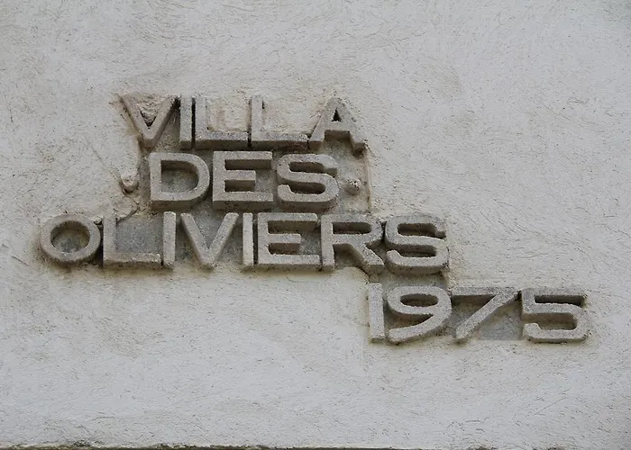 Villa Des Oliviers