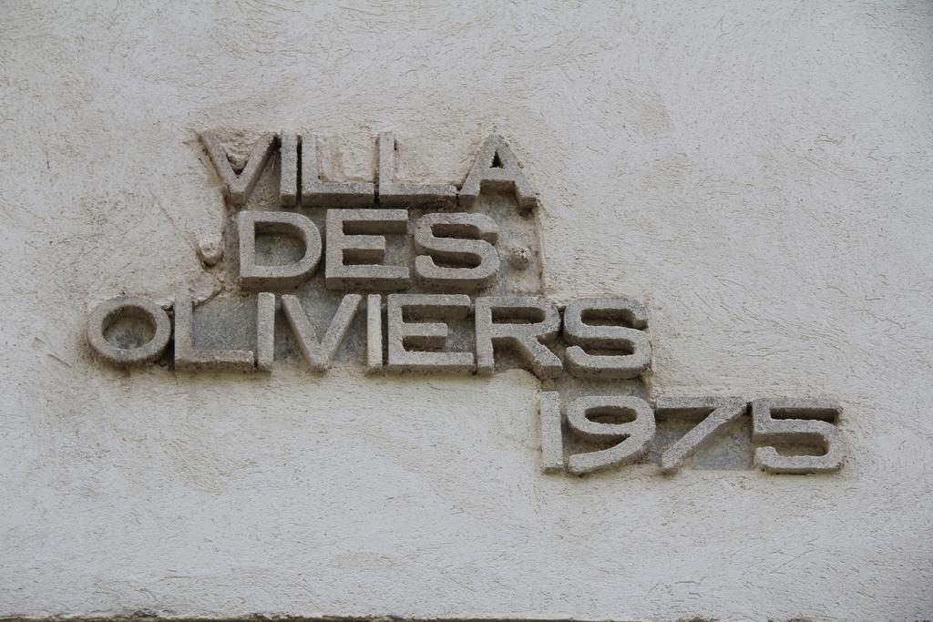Des Oliviers Fontvieille